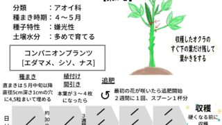野菜の育て方 はんのうびより